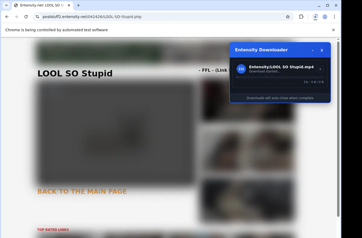 Entensity Video Downloader screenshot 2
