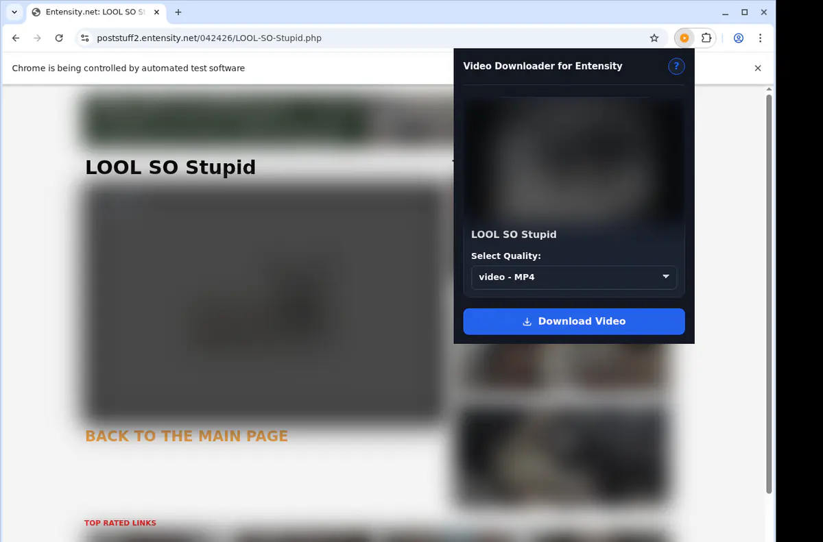 Entensity Video Downloader screenshot 3