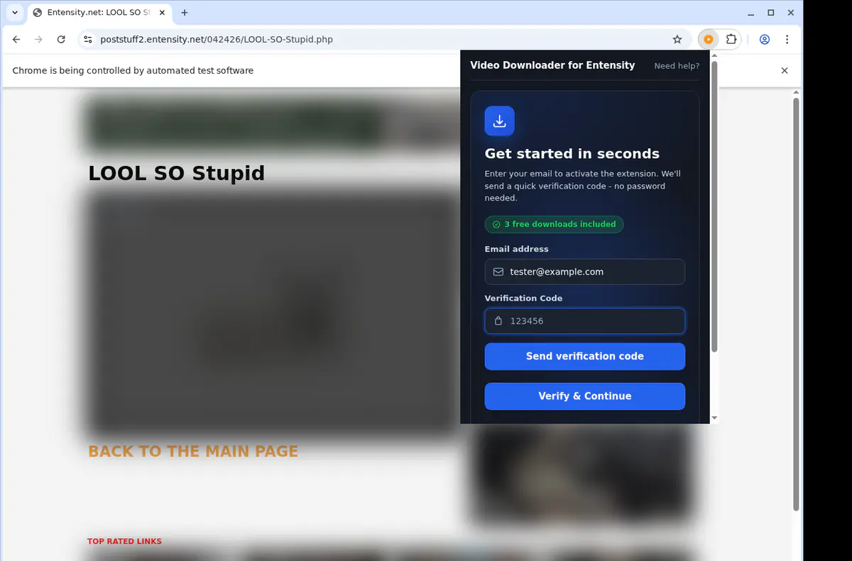 Entensity Video Downloader screenshot 4