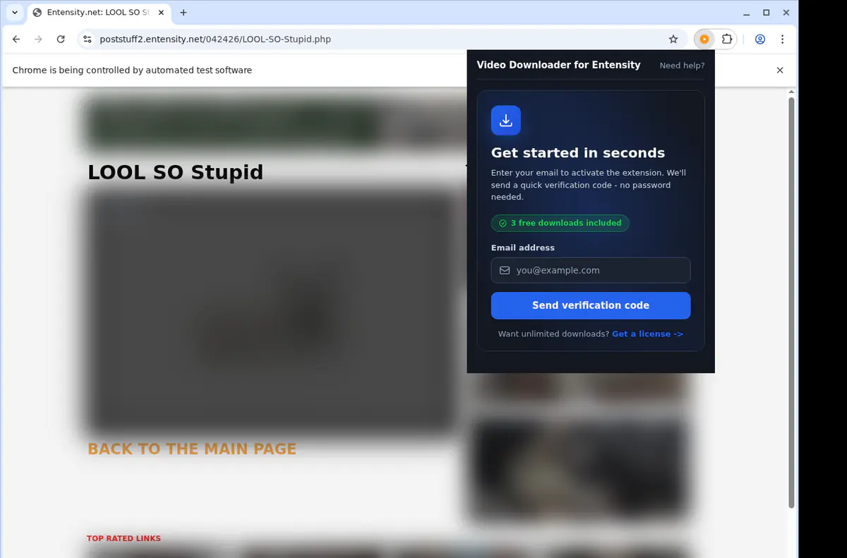 Entensity Video Downloader screenshot 5